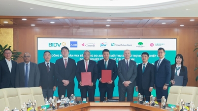 ADB, BIDV and partners announce $250 million in sustainable loans.