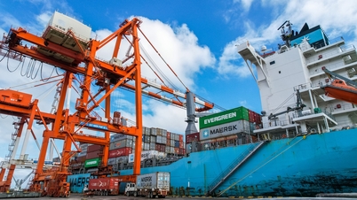 Seaports and the impetus for green transformation