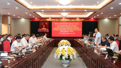 Der stellvertretende Minister Nguyen Hoang Long arbeitet mit der Provinz Son La zusammen, um Projekte im überarbeiteten Energieentwicklungsplan VIII voranzutreiben.