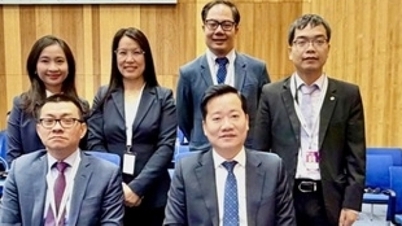 Vietnam elkötelezett a békés célú nukleáris energia fejlesztése mellett, a nemzetközi biztonsági előírások betartásával.