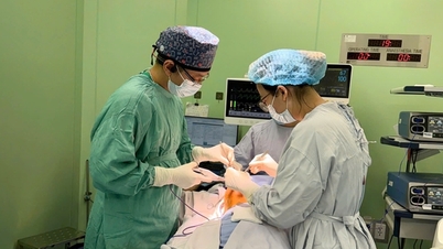 Sekembalinya dari Jerman ke Vietnam untuk menjalani operasi pengangkatan tumor payudara langka berukuran 18 cm, wanita muda itu mendapatkan kembali kepercayaan dirinya.