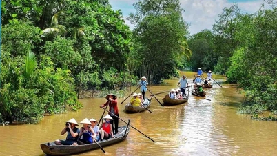 Vinh Long-turism: Mekongdeltats gröna hjärta