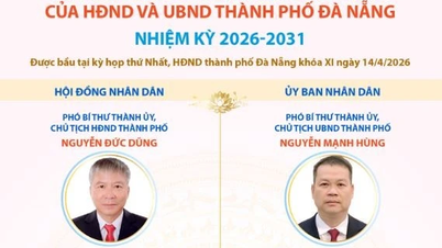 Principais cargos de liderança do Conselho Popular e do Comitê Popular da cidade de Da Nang