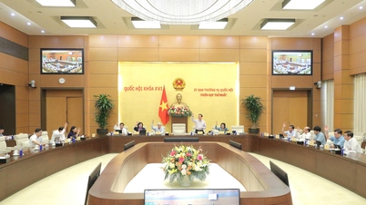 Disepakati secara bulat untuk mengajukan usulan tersebut kepada Majelis Nasional untuk dipertimbangkan pembentukan Kota Dong Nai pada sidang pertamanya.