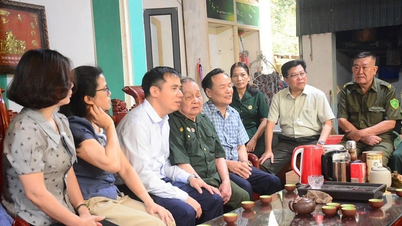 Los soldados de Dien Bien Phu toman la iniciativa en la entrega de terrenos para proyectos clave.