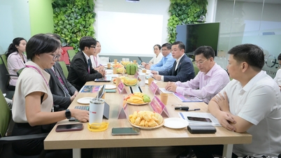 La provincia de Dak Lak y AEON Vietnam cooperarán en la promoción comercial y la publicidad de productos.