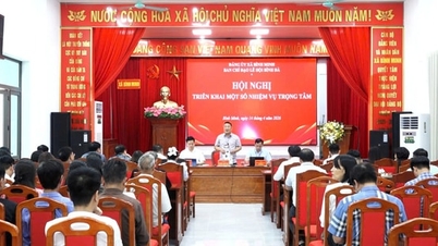 ខេត្តប៊ិញមិញកំពុងរៀបចំយ៉ាងហ្មត់ចត់សម្រាប់ពិធីបុណ្យនិទាឃរដូវប៊ិញដា ឆ្នាំ២០២៦ (ឆ្នាំសេះ)។