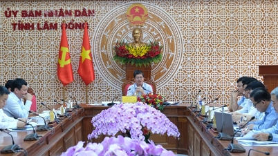ខេត្តឡាំដុងបានកំណត់ចំណុចកណ្តាលច្បាស់លាស់ដើម្បីដោះស្រាយបញ្ហាទាក់ទងនឹងគម្រោងមិនមែនថវិកាចំនួន ៣៦៧។