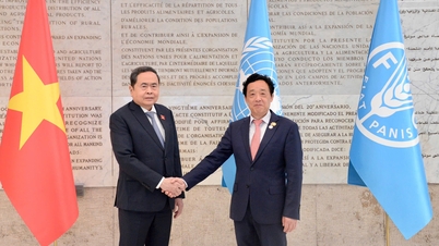 Președintele FAO: Vietnamul a decolat cu adevărat și continuă să se dezvolte remarcabil.