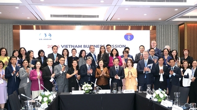 Ministerstvo zdravotnictví vedlo dialog s delegací podniků z Obchodní rady USA-ASEAN na podporu spolupráce a investic do zdravotnictví.