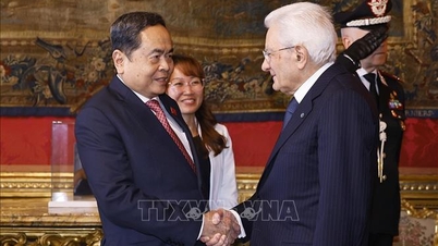 Vietnamul și Italia au asemănări profunde în cultura și istoria luptei pentru independență.