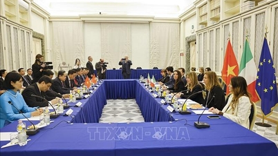 Vietnamul este un partener important al Italiei în regiunea Indo-Pacifică.