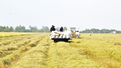 প্রস্তাবটি যাতে কার্যকর হয়, তা নিশ্চিত করতে বাস্তব পদক্ষেপ নিন।