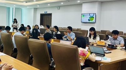 Der Provinzgenossenschaftsverband arbeitet mit koreanischen Marketingexperten zusammen – Cao Bang Online-Zeitung
