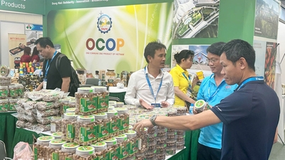 Extinderea canalelor pentru promovarea produselor vietnameze.