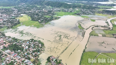 Encontrar soluciones al problema de las inundaciones en la región arrocera de Krông Ana.
