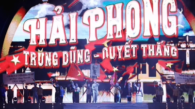 Rød flamboyant blomsterfestival 2026: Hai Phong sprenger av farger og følelser.
