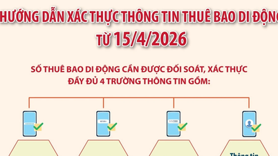 Instruksjoner for verifisering av mobiltelefonabonnementsinformasjon fra 15. april.