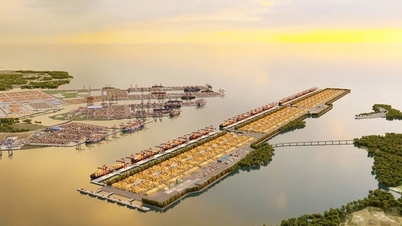 Bandar Raya Ho Chi Minh meluluskan pelabur untuk projek mega pelabuhan Can Gio bernilai 129,000 bilion VND.