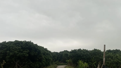Een ongebruikelijk koufront is op komst, dat regen met zich meebrengt, en de hitte zal geleidelijk afnemen.