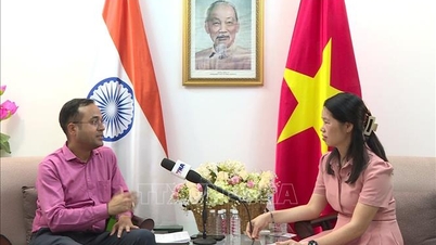 Vietnam Expo 2026'dan uzun vadeli ağ kurma ve yatırım fırsatlarına kadar.