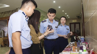 Chi cục QLTT tỉnh Nghệ An trong cuộc chiến chống hàng giả và vi phạm quyền sở hữu trí tuệ