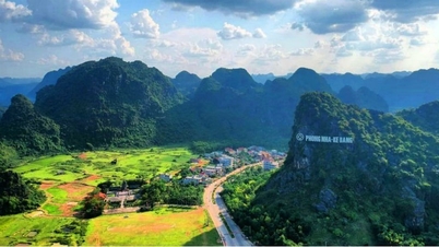 Ce que nous ignorons de cette espèce de rat « éteinte depuis 11 millions d’années » qui vient de réapparaître à Phong Nha - Ke Bang.