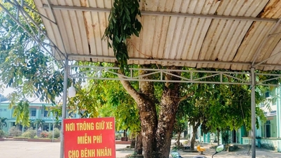 Miễn phí giữ xe vì người bệnh