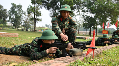กองพลน้อยที่ 144 (กองบัญชาการ): แสงแดดอันแผดเผาในสนามฝึกช่วยหล่อหลอมอุปนิสัยของทหารใหม่