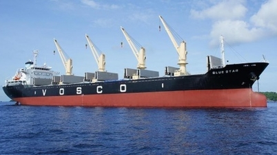 Vosco plant den Bau zweier neuer Schiffe mit einem maximalen Investitionsvolumen von 104 Millionen Dollar.
