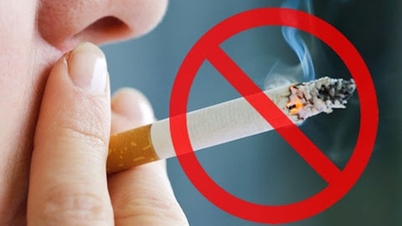 Từ ngày 15/5, việc tiếp thị thuốc lá trực tiếp tới người tiêu dùng có thể bị phạt đến 30 triệu