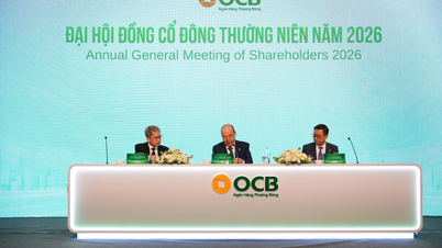Aandeelhoudersvergadering OCB: Winstdoelstelling voor 2026: een stijging van 39% ten opzichte van 2025, tot 6.960 miljard VND.