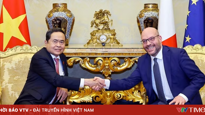 Vastbesloten om de betrekkingen tussen Vietnam en Italië verder te verdiepen en inhoudelijker te maken.