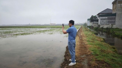 Mengaktifkan 'perisai digital' terintegrasi AI untuk memerangi intrusi air asin di Delta Sungai Merah.