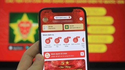 Cara menyemak sama ada nombor telefon anda disepadukan ke dalam VNeID.