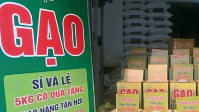 Bandar Raya Ho Chi Minh: Menstabilkan pengeluaran dan penggunaan beras dalam situasi baharu.