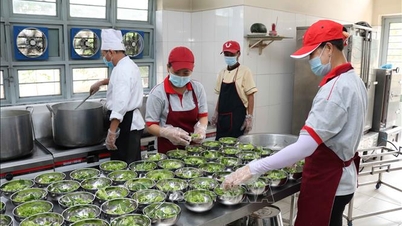 Ho Chi Minh-staden skärper hanteringen av skollunchsprogram.