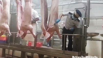 Prevenirea proactivă a bolilor încă din etapa de sacrificare a animalelor.