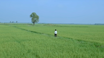 ภาพรวมของวงการภาพยนตร์เวียดนามหลังการปฏิรูป 40 ปี