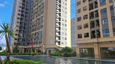 Da Nang godkjenner investeringsplan for over 1300 sosiale boligenheter i Hoa Xuan.