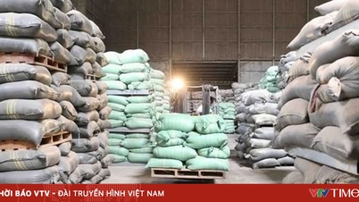 Processo de licitação para a aquisição de 300.000 toneladas de arroz para reservas nacionais.