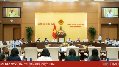 ข้อเสนอเพื่อทดลองใช้ระบบทนายความสาธารณะใน 8 กระทรวง และ 10 จังหวัดและเมือง
