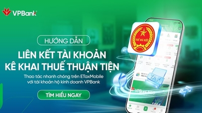 Vì sao hộ kinh doanh cần chuẩn hóa tài khoản ngay từ bây giờ?