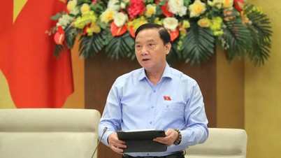 Zaproponowano, aby nie zwalniać żadnej odpowiedzialności prawnej z rezolucji pilotażowej Rady Ludowej Miasta Hanoi.