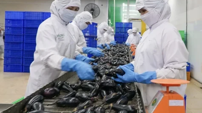 Lebensmittelindustrie: Tiefgreifende Einbindung in die Wertschöpfungskette