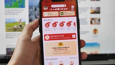 Welche Nutzer müssen ihren SIM-Kartenbesitz auf VNeID verifizieren?