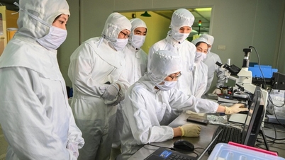 Betrieb des Wissenschafts-, Technologie- und Innovationsfonds: Transparente Ressourcenallokation, wobei die erzielten Ergebnisse den zentralen Maßstab bilden.
