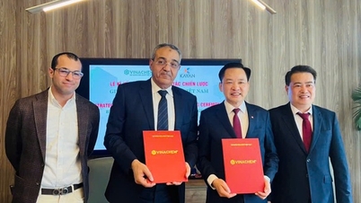Die Vietnam Chemical Corporation arbeitet mit Kayan for International Trade zusammen, um die Versorgungssicherheit mit Düngemittelrohstoffen zu gewährleisten.