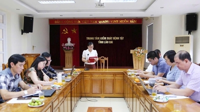 세계보건기구와 말라리아·기생충·곤충학 연구소 대표단이 라오까이성에서 활동하고 있습니다.