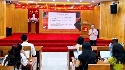 Thanh Liet bude v roce 2026 vést školení v psaní argumentačních esejů.